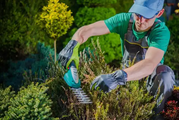 landscaping services Mount Victory
